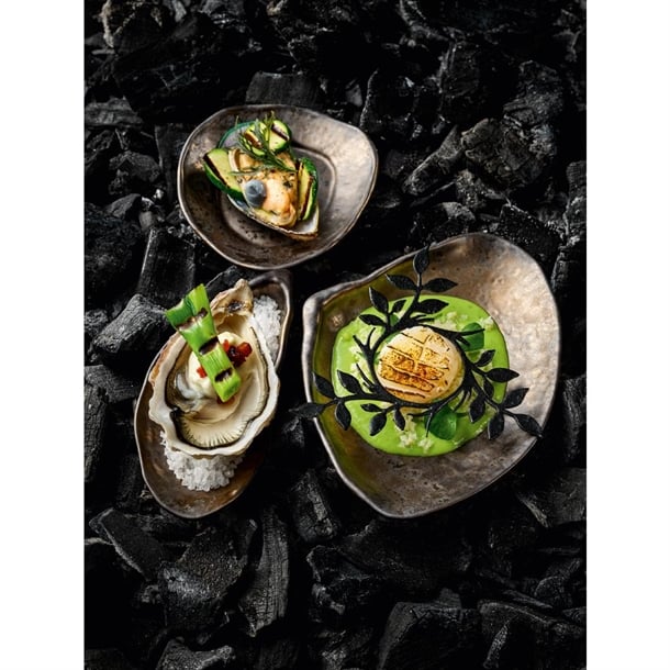 Playground Shells Metallic Bronze Bowls 150x70mm (6 Pack) jf912