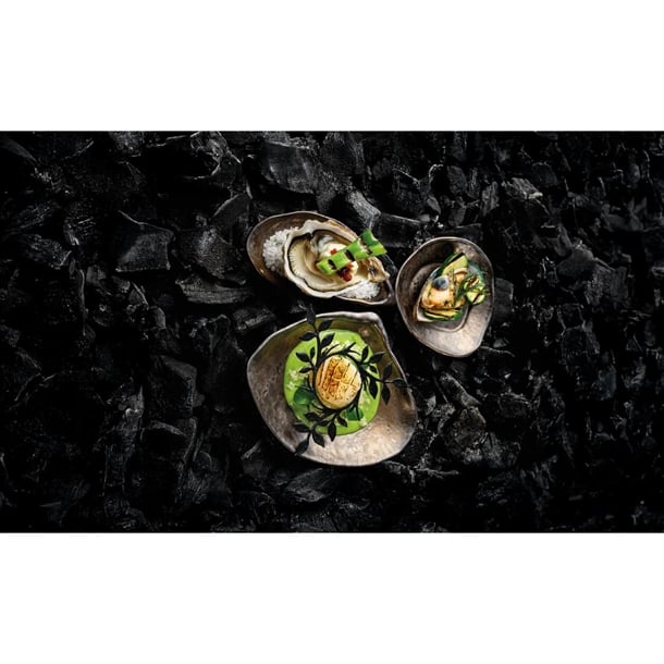 Playground Shells Dishes Metallic Bronze 110mm (6 Pack) jf911