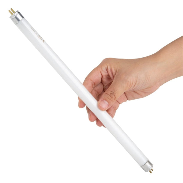 Special Offer Nisbets Essentials Fly Killer Replacement Fluorescent Bulbs 8W (2 Pack) sa535