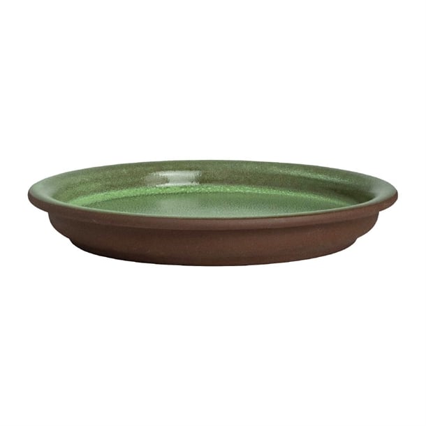 Maham Studio Spice Cardamon Cover for Bowls 120mm (12 Pack) vv3659