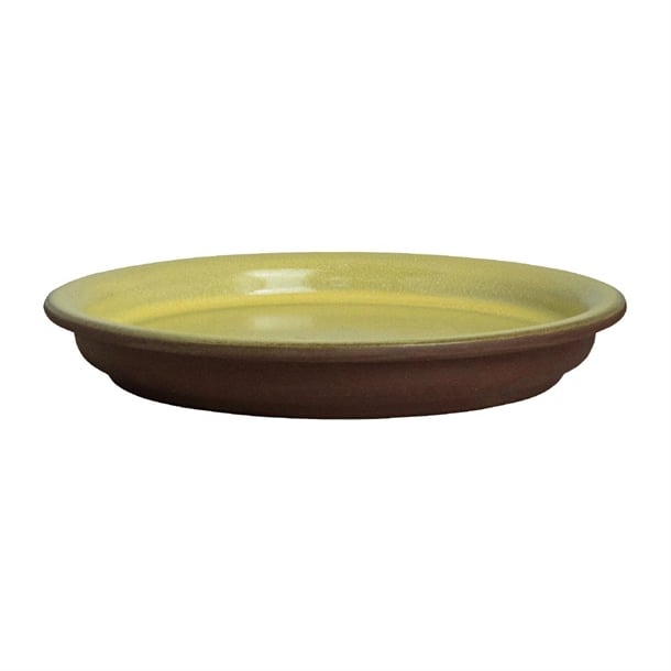 Maham Studio Spice Saffron Cover for Bowls 120mm (12 Pack) vv3675