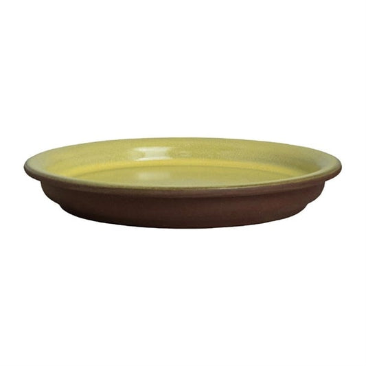 Maham Studio Spice Saffron Cover for Bowls 120mm (12 Pack) vv3675