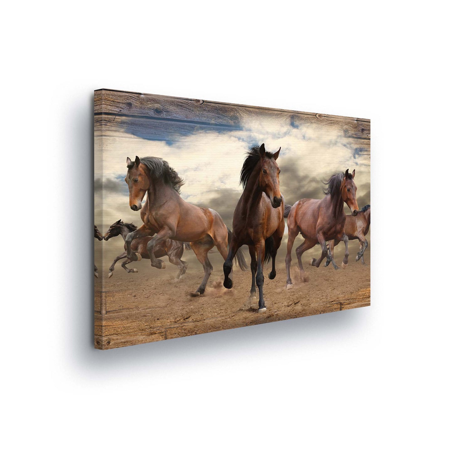 Horses & Unicorns Canvas Photo Print