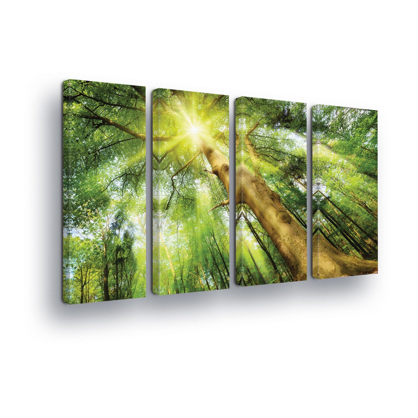 Forest & Trees Canvas Photo Print - USTAD HOME