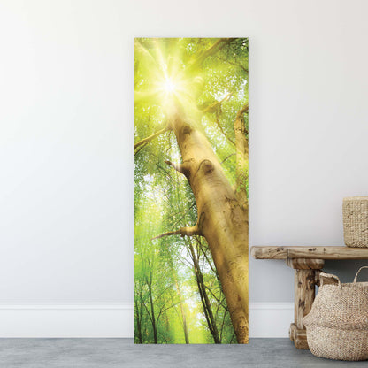 Forest & Trees Canvas Photo Print - USTAD HOME