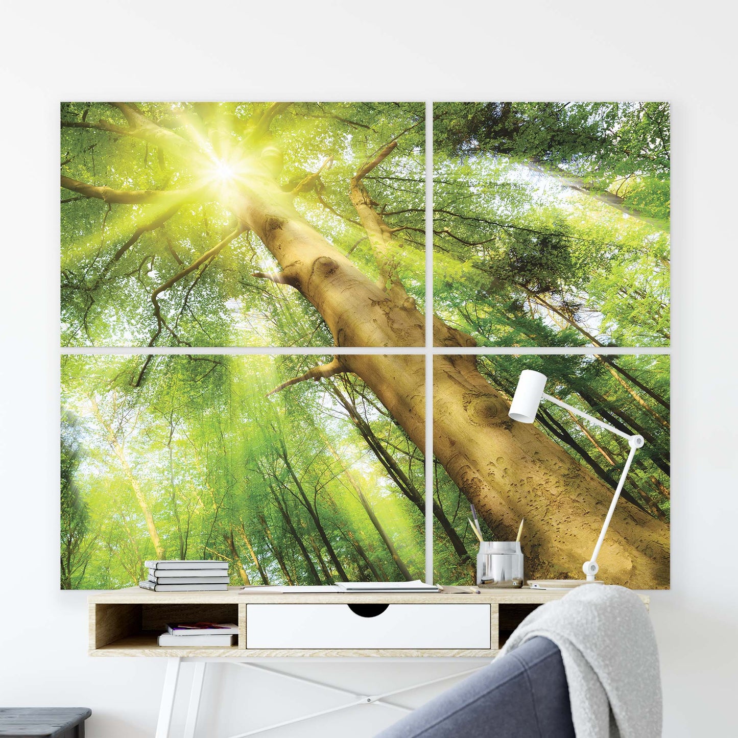 Forest & Trees Canvas Photo Print - USTAD HOME