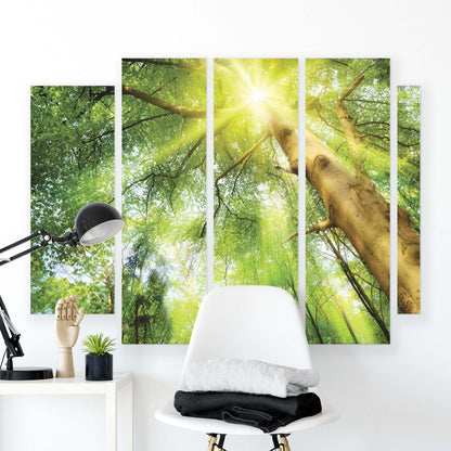 Forest & Trees Canvas Photo Print - USTAD HOME