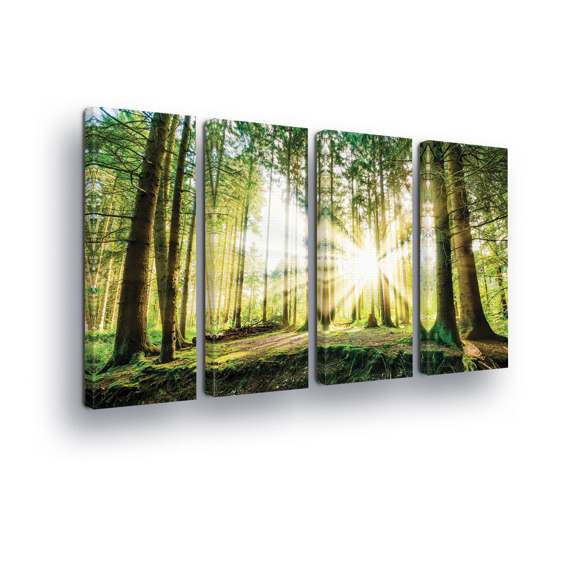 Forest & Trees Canvas Photo Print - USTAD HOME