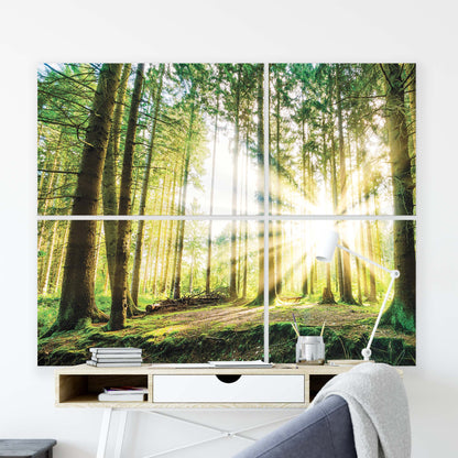 Forest & Trees Canvas Photo Print - USTAD HOME