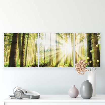 Forest & Trees Canvas Photo Print - USTAD HOME