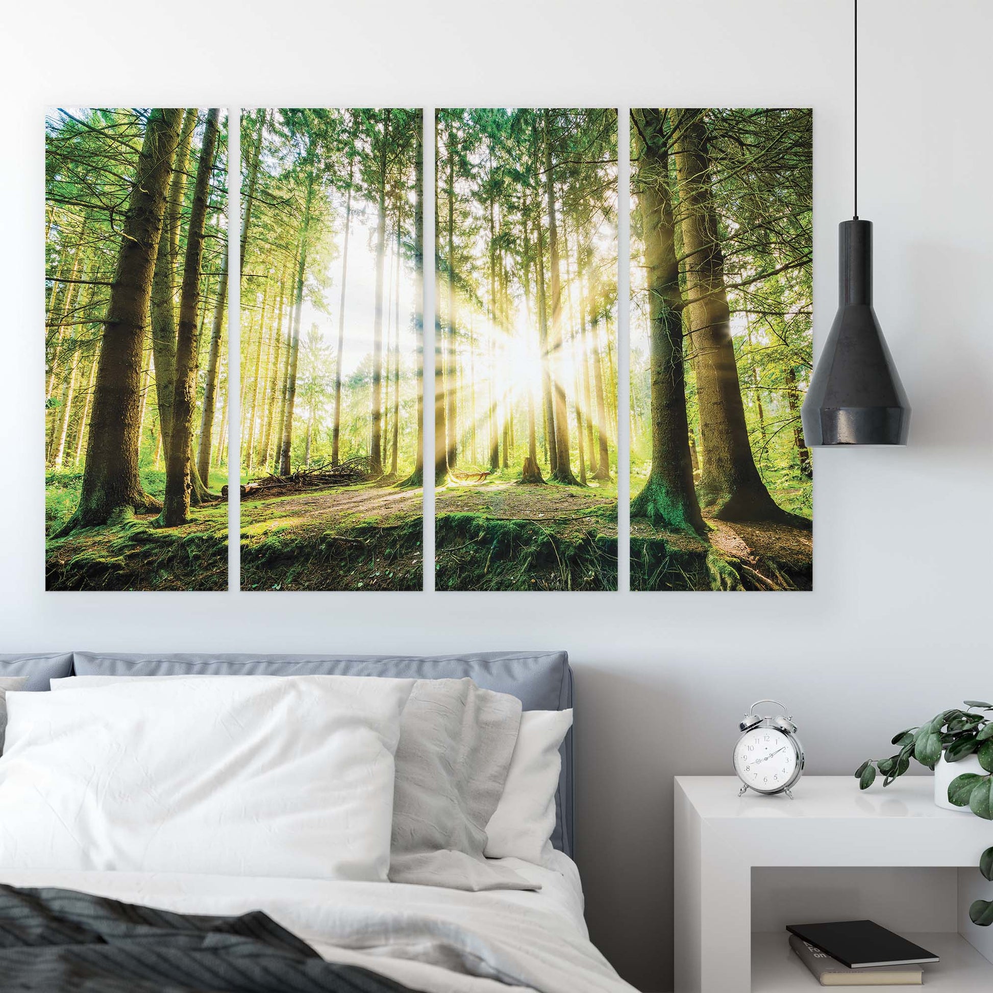 Forest & Trees Canvas Photo Print - USTAD HOME