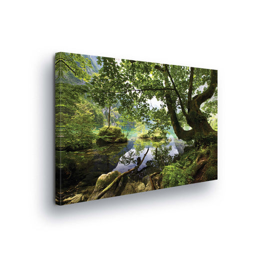 Forest & Trees Canvas Photo Print - USTAD HOME