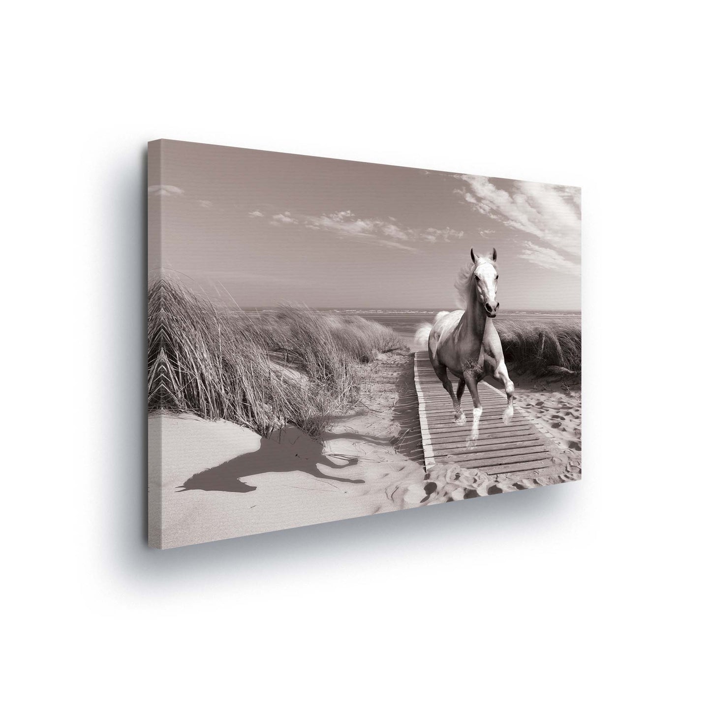 Horses & Unicorns Canvas Photo Print - USTAD HOME