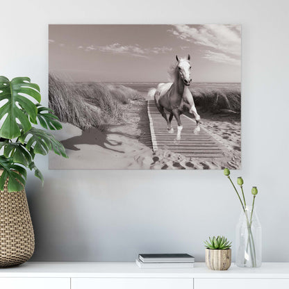 Horses & Unicorns Canvas Photo Print - USTAD HOME