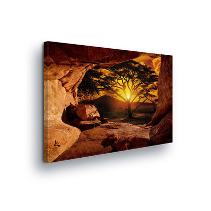 Forest & Trees Canvas Photo Print - USTAD HOME