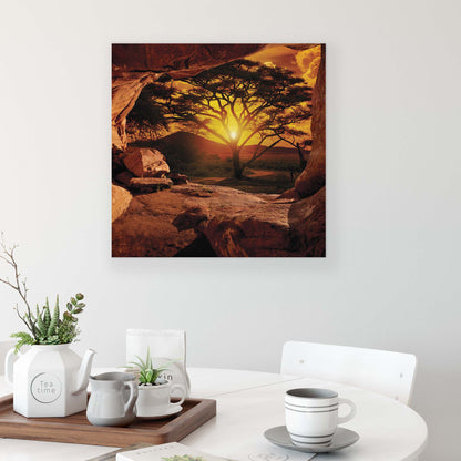 Forest & Trees Canvas Photo Print - USTAD HOME