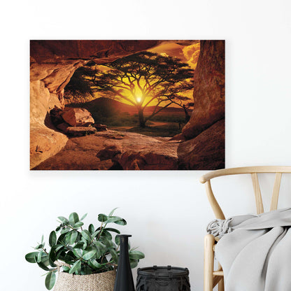 Forest & Trees Canvas Photo Print - USTAD HOME