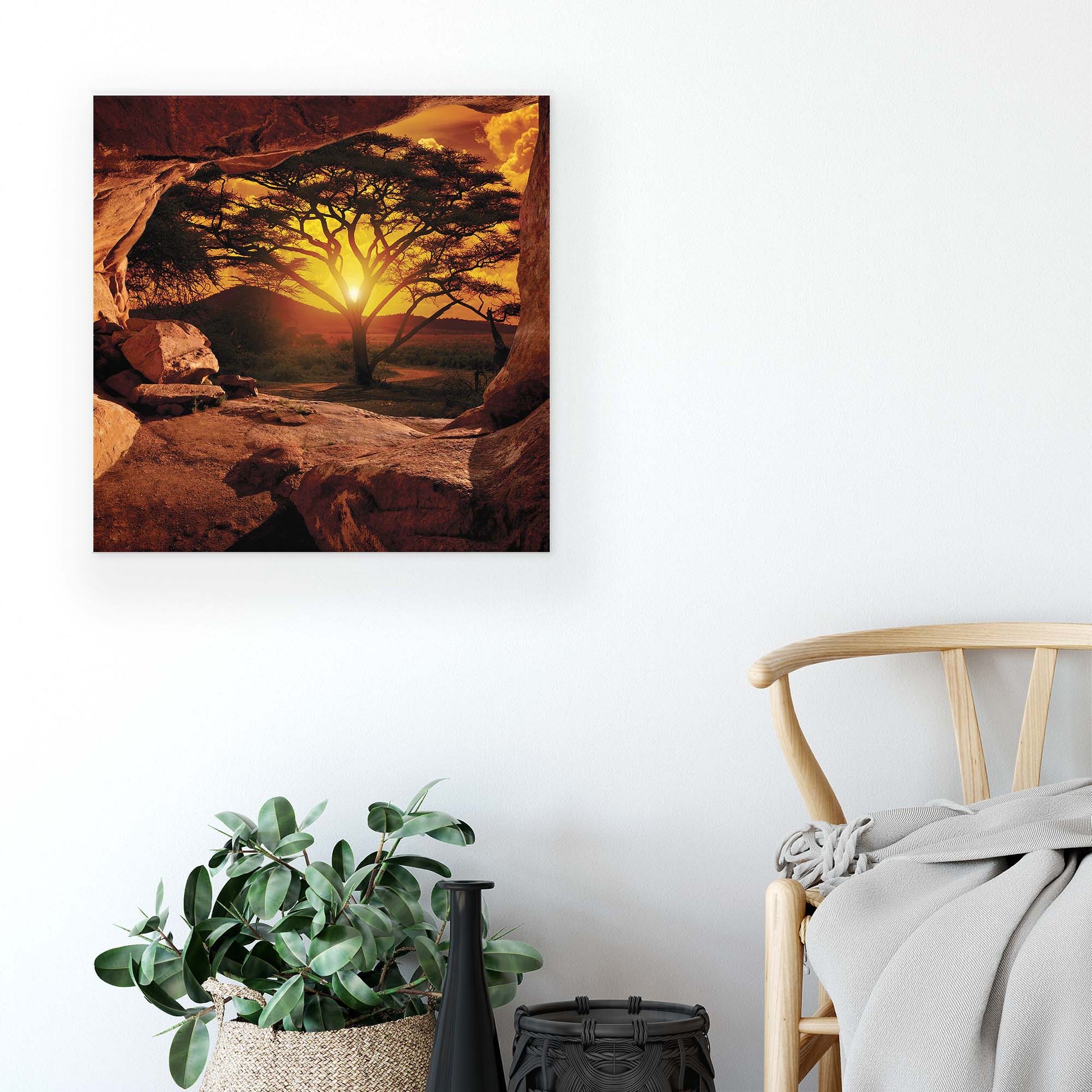 Forest & Trees Canvas Photo Print - USTAD HOME