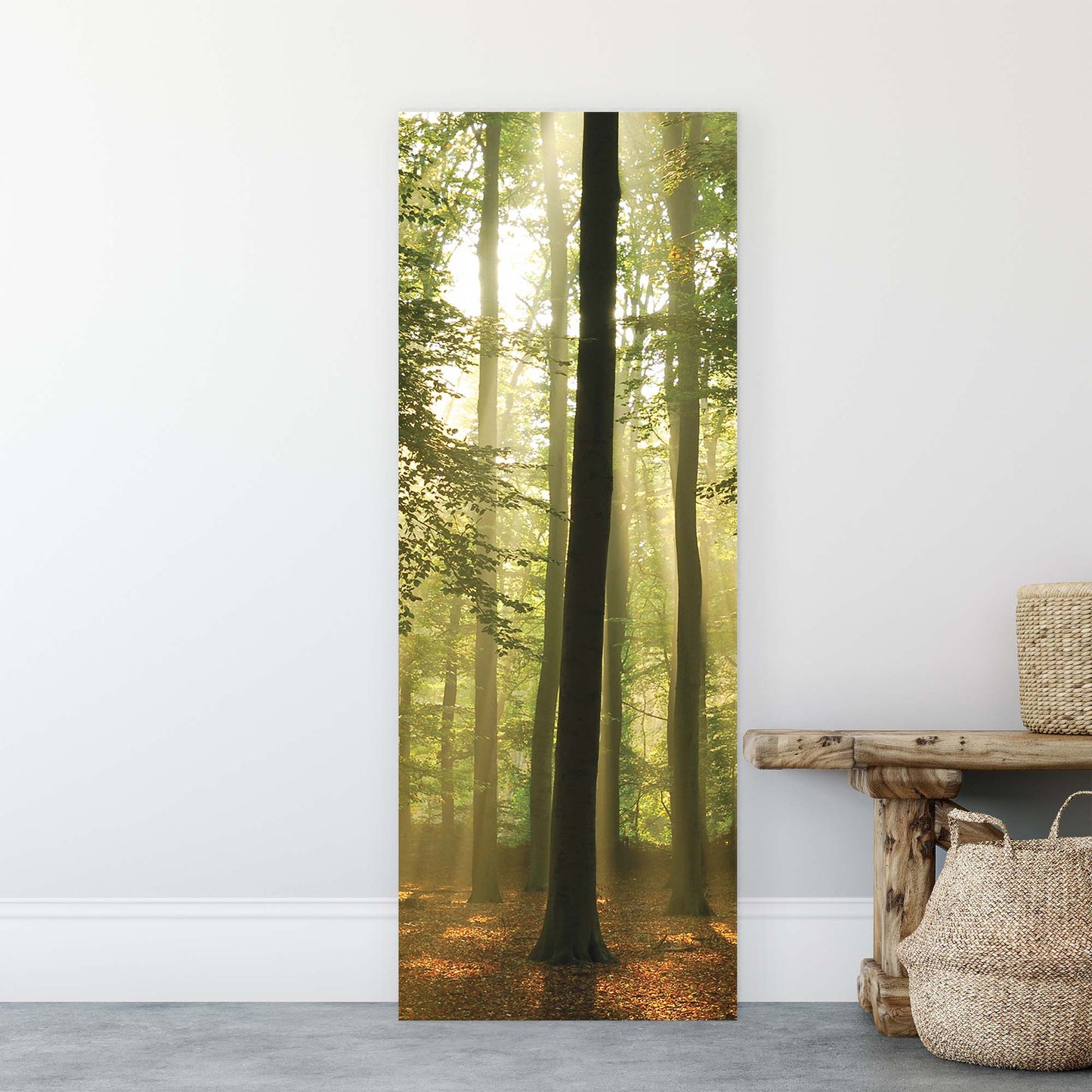 Forest & Trees Canvas Photo Print - USTAD HOME