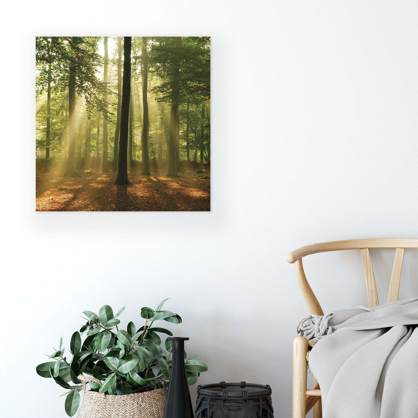 Forest & Trees Canvas Photo Print - USTAD HOME