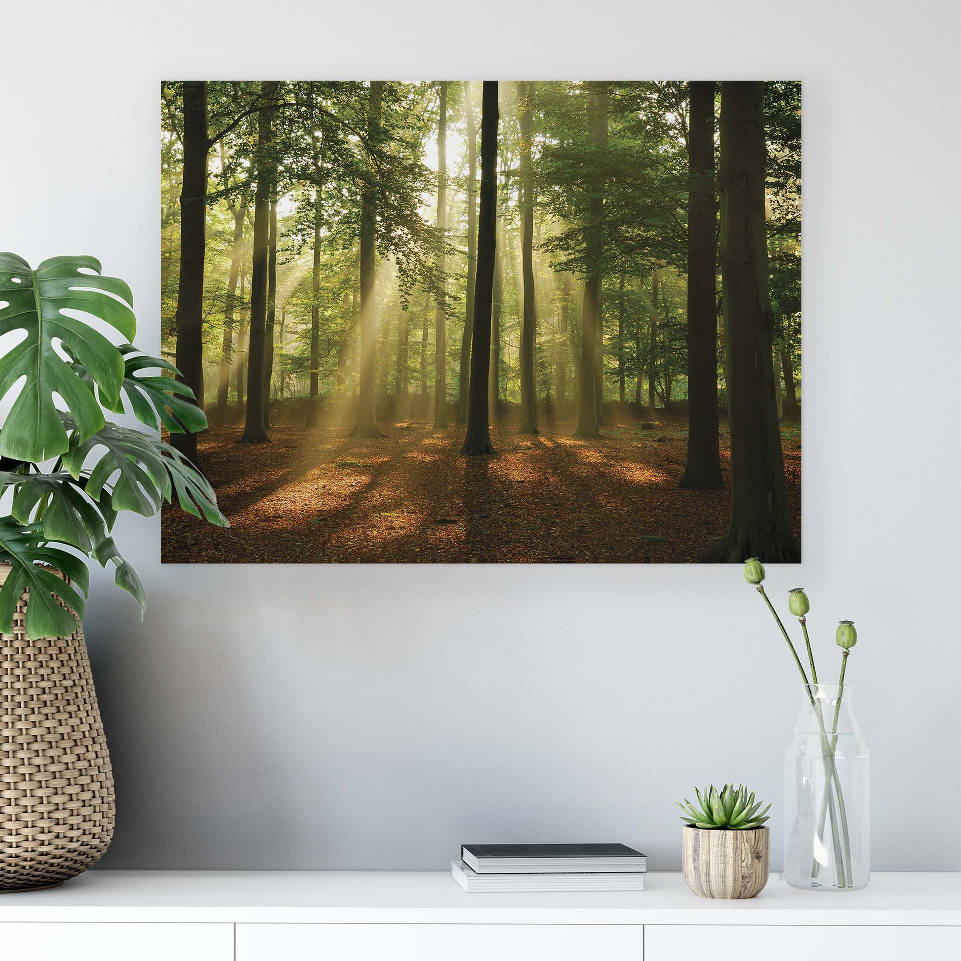 Forest & Trees Canvas Photo Print - USTAD HOME