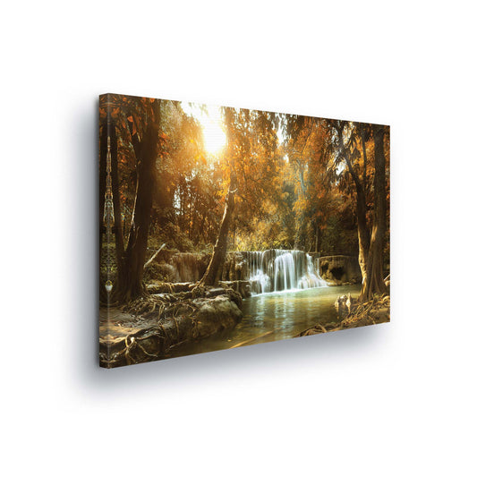 Forest & Trees Canvas Photo Print - USTAD HOME