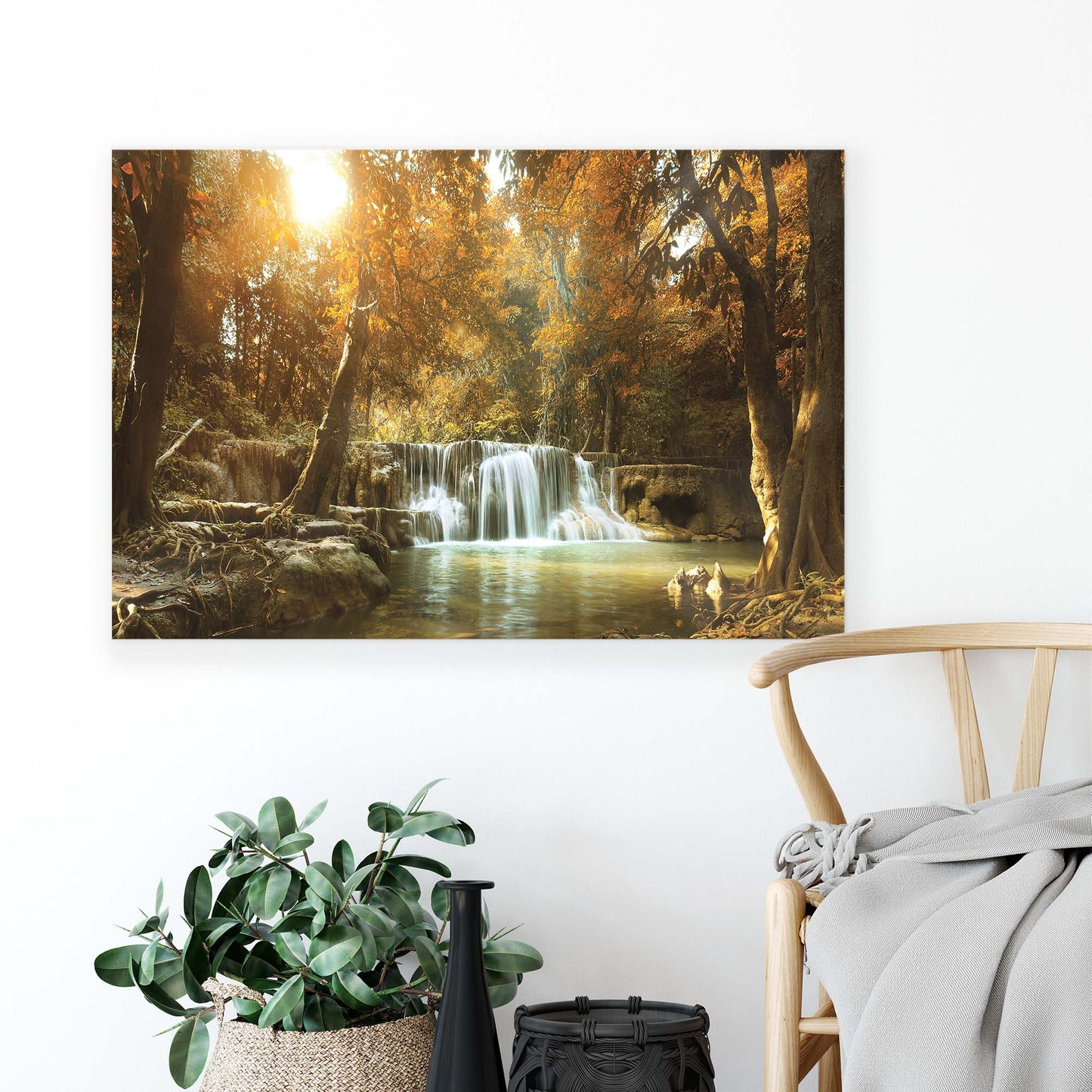 Forest & Trees Canvas Photo Print - USTAD HOME