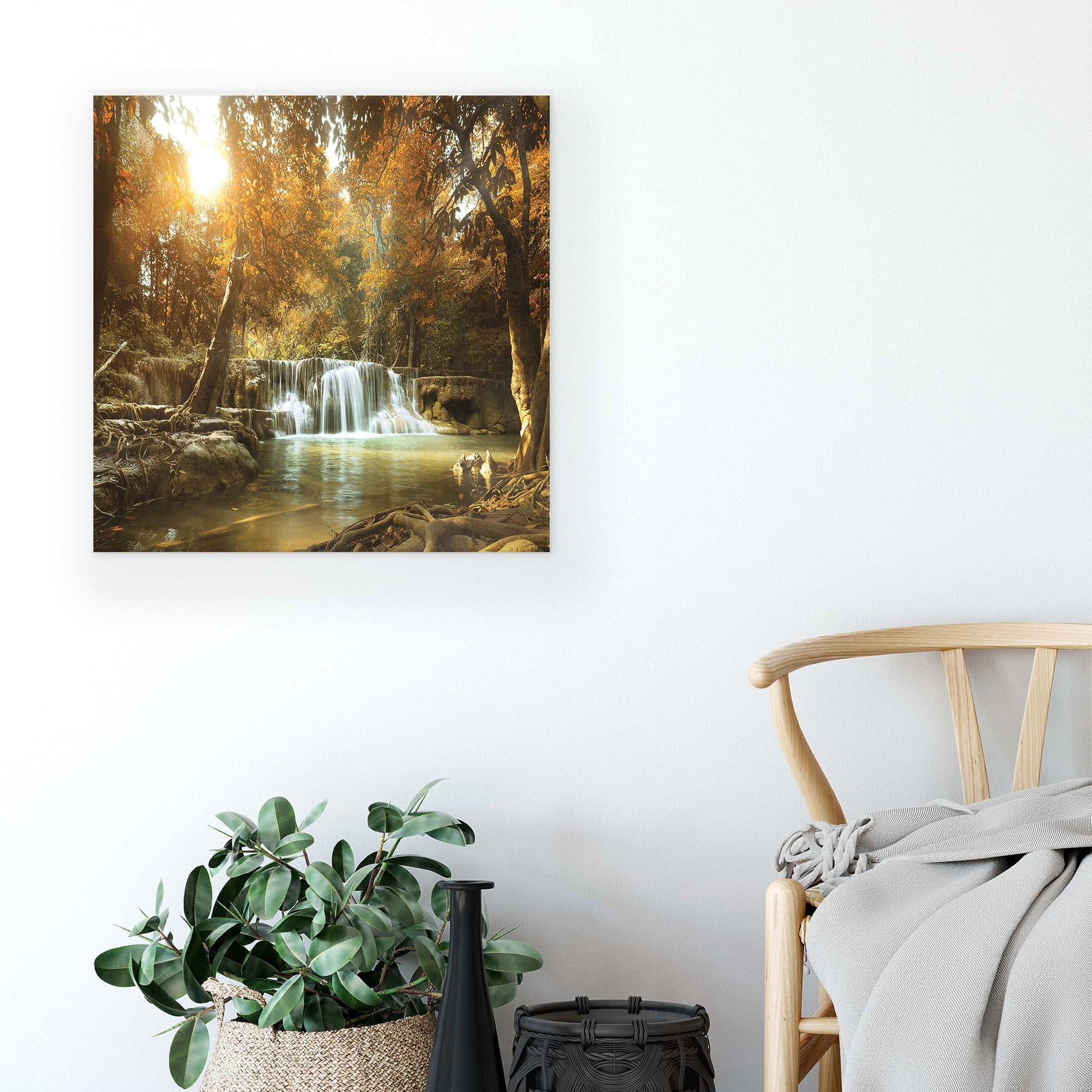 Forest & Trees Canvas Photo Print - USTAD HOME