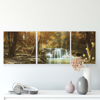 Forest & Trees Canvas Photo Print - USTAD HOME