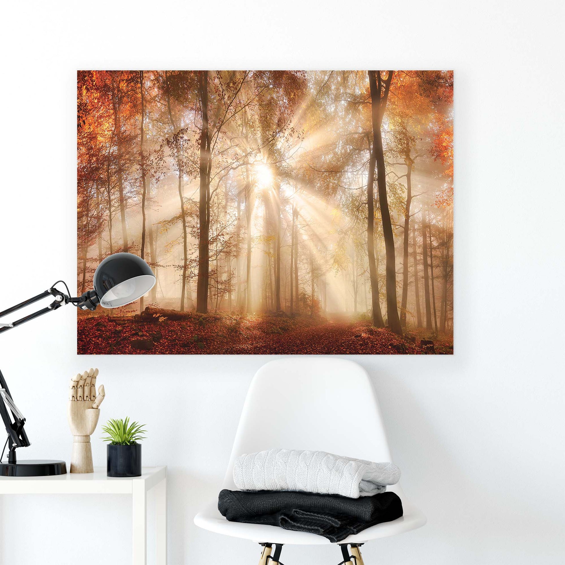 Forest & Trees Canvas Photo Print - USTAD HOME