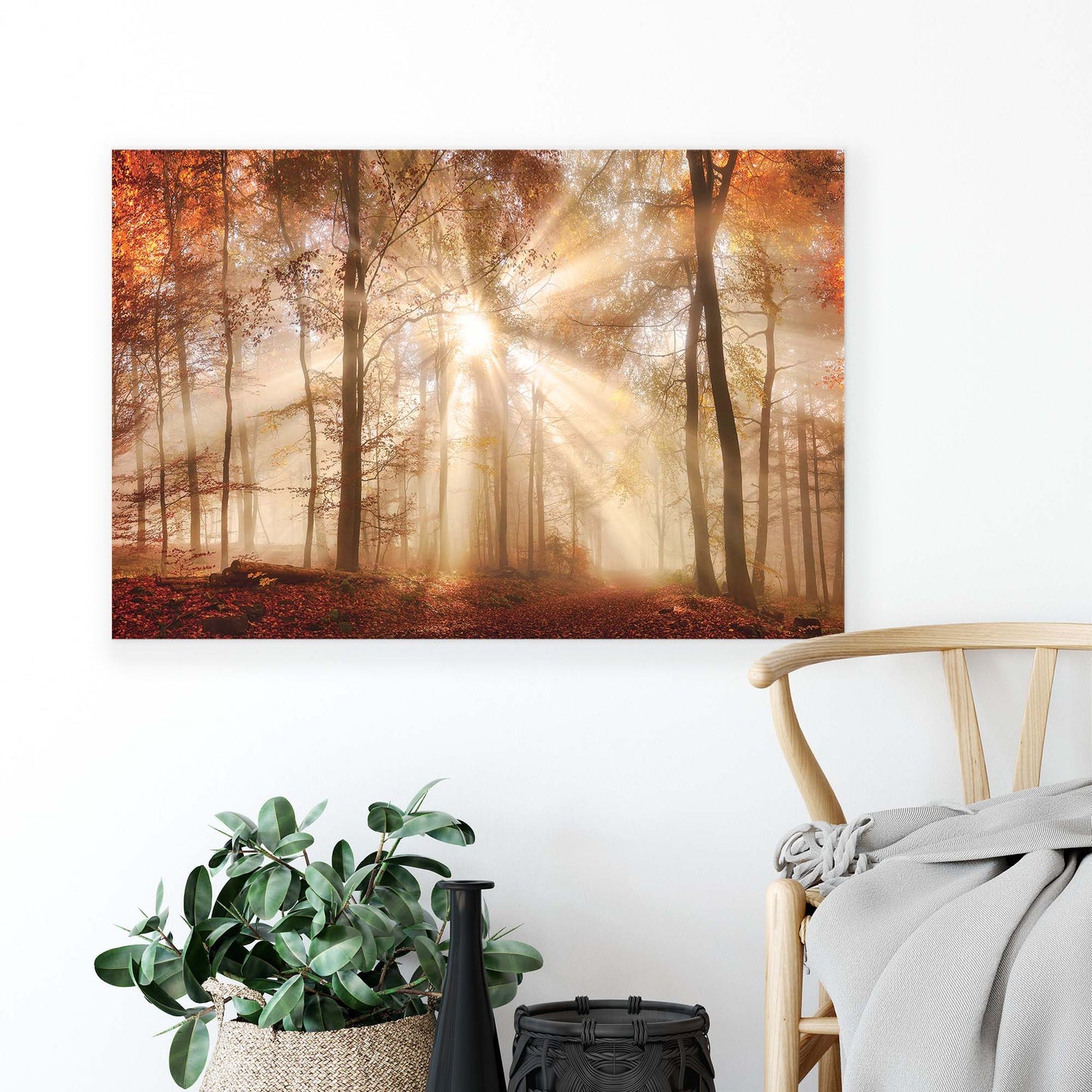 Forest & Trees Canvas Photo Print - USTAD HOME