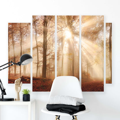 Forest & Trees Canvas Photo Print - USTAD HOME