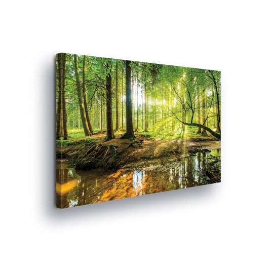 Forest & Trees Canvas Photo Print - USTAD HOME