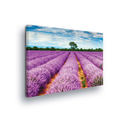 Meadows & Countryside Canvas Photo Print - USTAD HOME