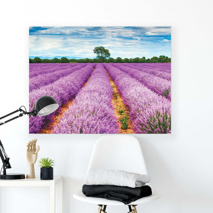 Meadows & Countryside Canvas Photo Print - USTAD HOME