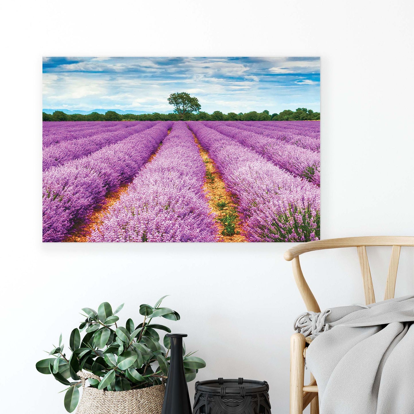 Meadows & Countryside Canvas Photo Print - USTAD HOME