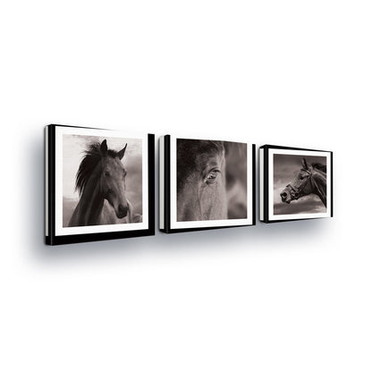 Horses & Unicorns Canvas Photo Print - USTAD HOME