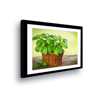 Plants Canvas Photo Print