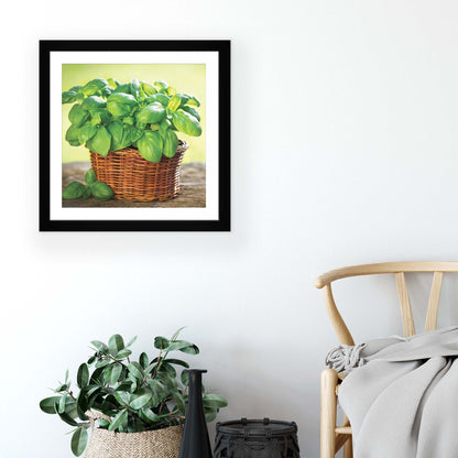 Plants Canvas Photo Print