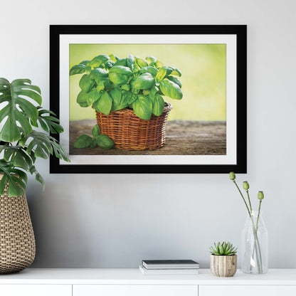 Plants Canvas Photo Print