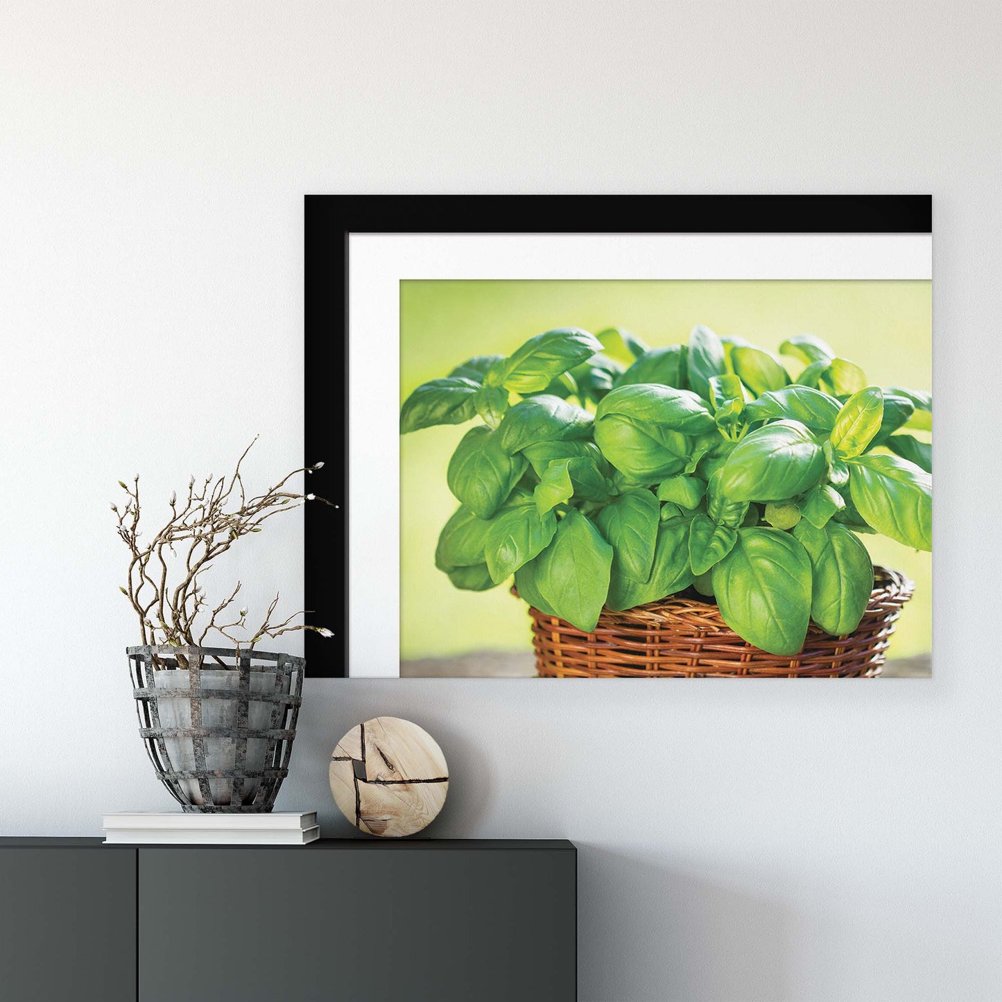 Plants Canvas Photo Print