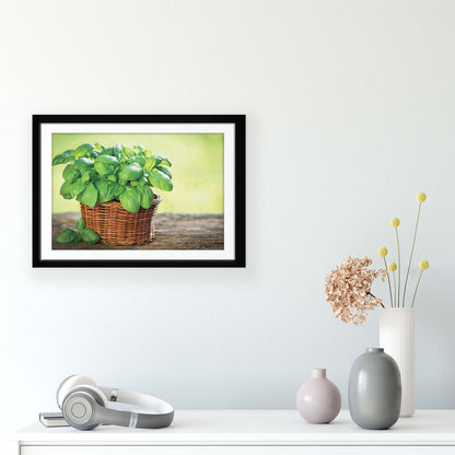 Plants Canvas Photo Print