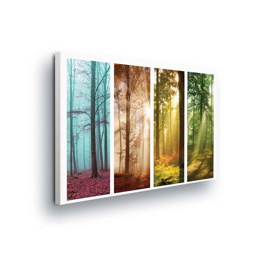 Forest & Trees Canvas Photo Print - USTAD HOME