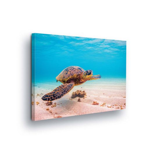 Underwater Canvas Photo Print - USTAD HOME