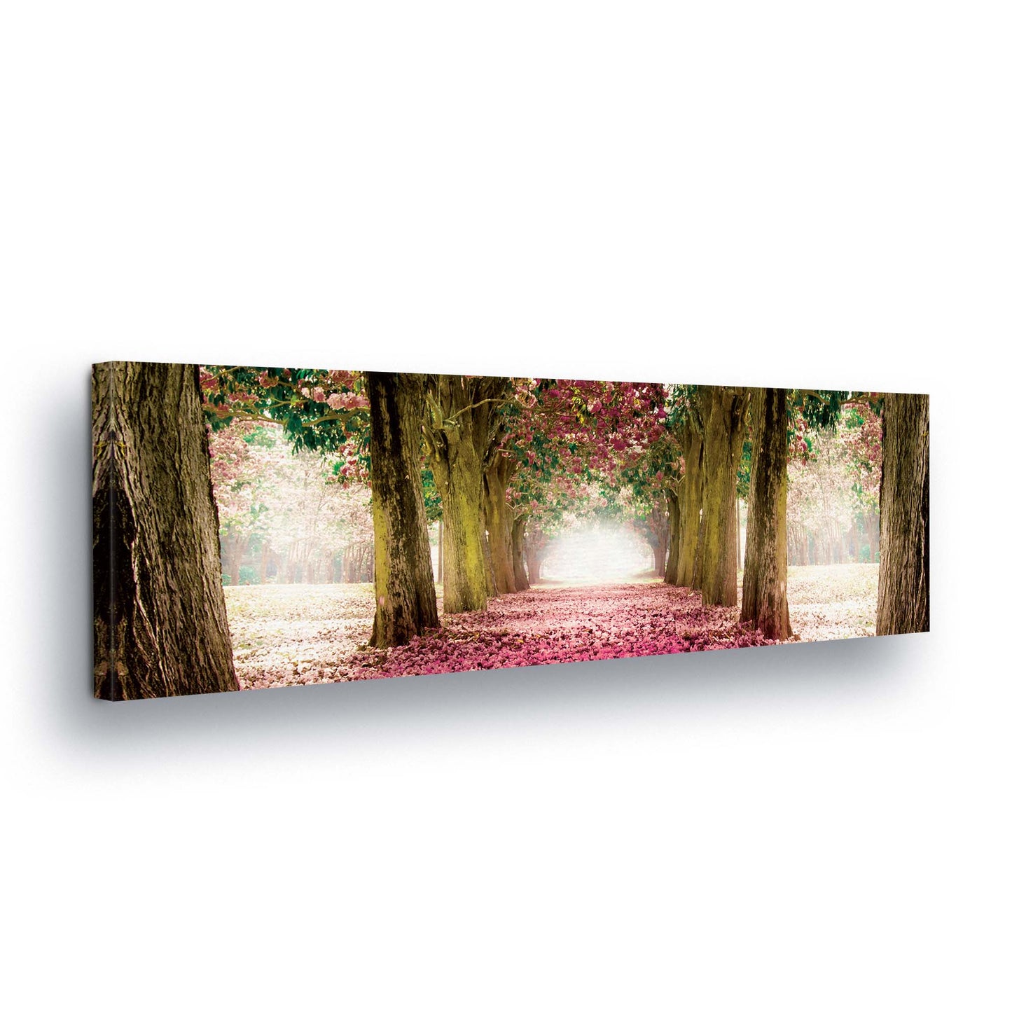 Forest & Trees Canvas Photo Print - USTAD HOME