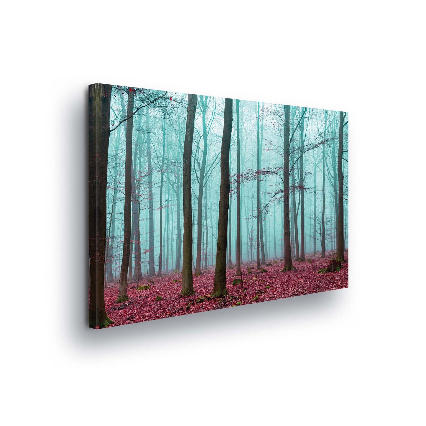 Forest & Trees Canvas Photo Print - USTAD HOME