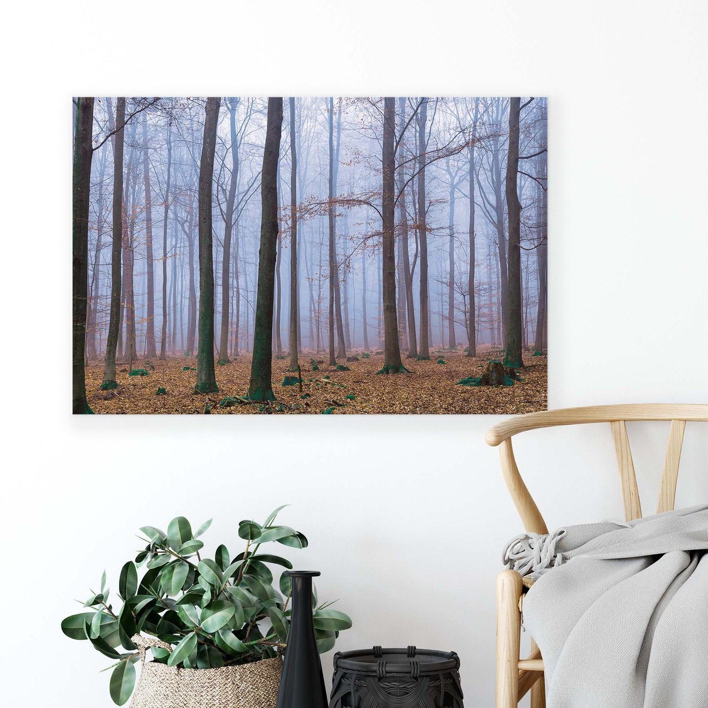 Forest & Trees Canvas Photo Print - USTAD HOME