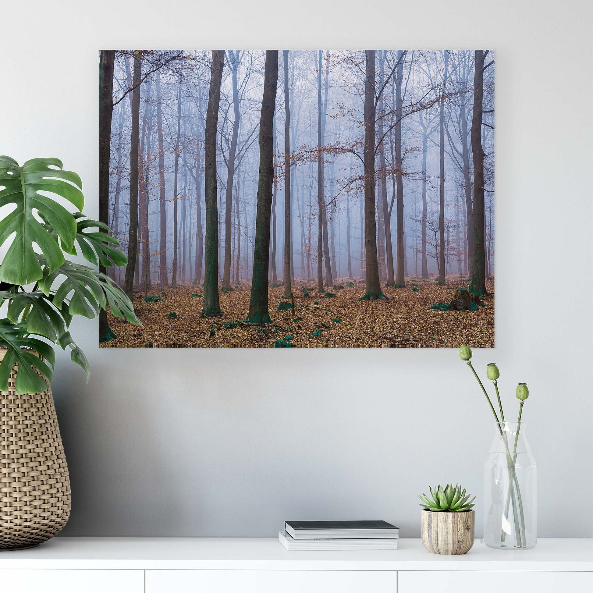 Forest & Trees Canvas Photo Print - USTAD HOME