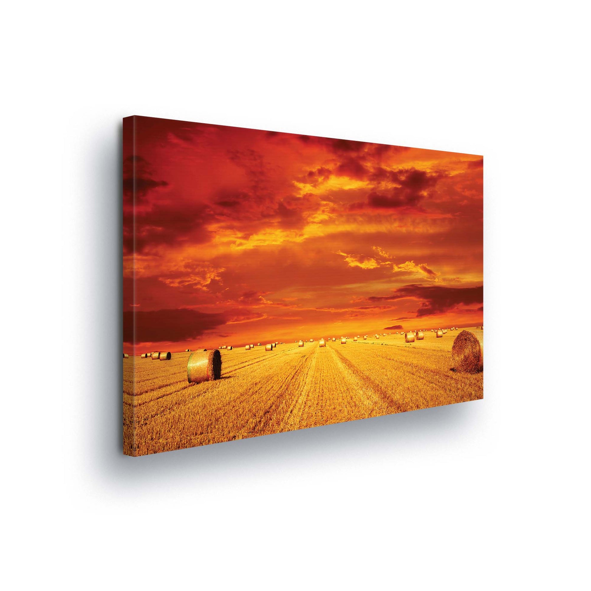 Meadows & Countryside Canvas Photo Print - USTAD HOME