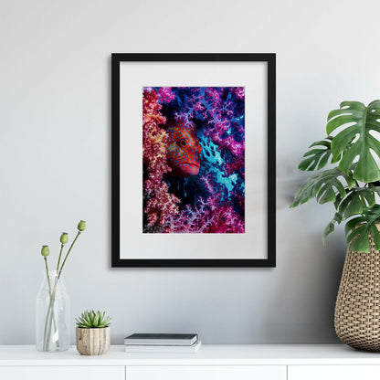 Coral Hind by Dani Barchana Framed Print - USTAD HOME